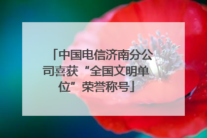 中国电信济南分公司喜获“全国文明单位”荣誉称号
