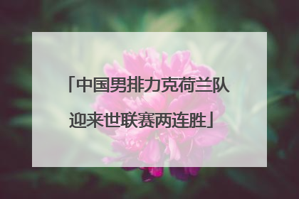 中国男排力克荷兰队 迎来世联赛两连胜