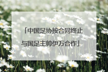 中国足协按合同终止与国足主帅伊万合作