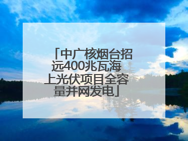 中广核烟台招远400兆瓦海上光伏项目全容量并网发电
