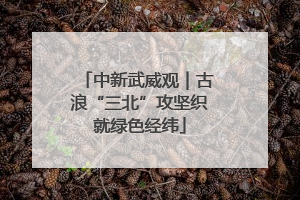 中新武威观｜古浪“三北”攻坚织就绿色经纬