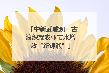 中新武威观｜古浪织就农业节水增效“新锦缎”