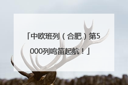 中欧班列（合肥）第5000列鸣笛起航！