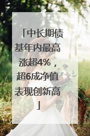 中长期债基年内最高涨超4%，超6成净值表现创新高