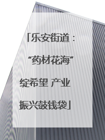 乐安街道：“药材花海”绽希望 产业振兴鼓钱袋