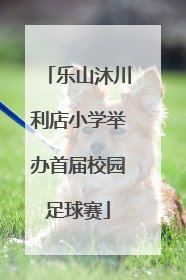 乐山沐川利店小学举办首届校园足球赛