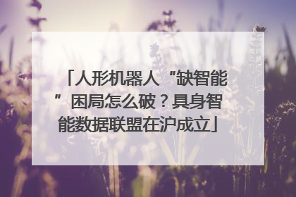 人形机器人“缺智能”困局怎么破？具身智能数据联盟在沪成立