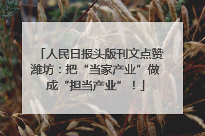 人民日报头版刊文点赞潍坊：把“当家产业”做成“担当产业”！