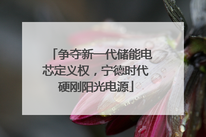 争夺新一代储能电芯定义权，宁德时代硬刚阳光电源