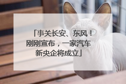 事关长安、东风！刚刚宣布，一家汽车新央企将成立