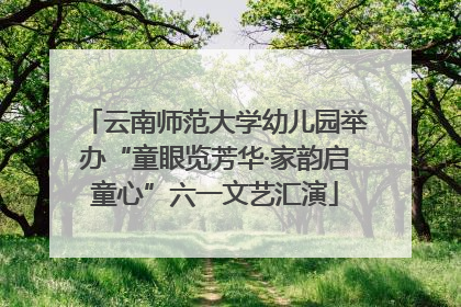 云南师范大学幼儿园举办“童眼览芳华·家韵启童心”六一文艺汇演