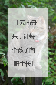 云南景东：让每个孩子向阳生长