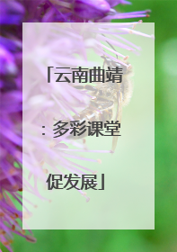 云南曲靖：多彩课堂促发展