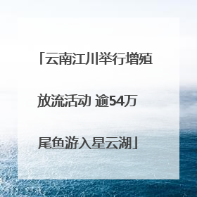 云南江川举行增殖放流活动 逾54万尾鱼游入星云湖
