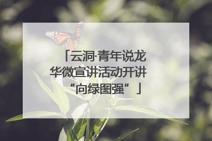 云洞·青年说龙华微宣讲活动开讲“向绿图强”