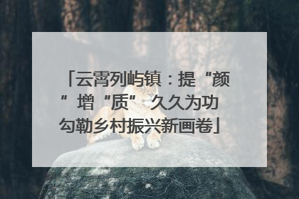 云霄列屿镇：提“颜”增“质” 久久为功勾勒乡村振兴新画卷