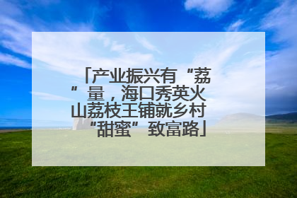 产业振兴有“荔”量，海口秀英火山荔枝王铺就乡村“甜蜜”致富路