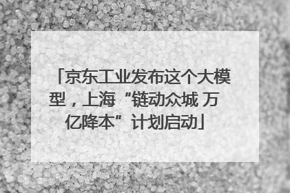京东工业发布这个大模型，上海“链动众城 万亿降本”计划启动