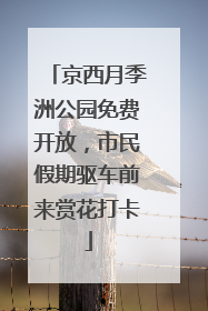 京西月季洲公园免费开放，市民假期驱车前来赏花打卡