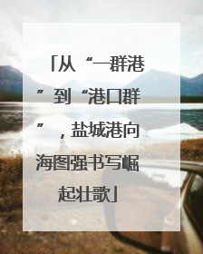 从“一群港”到“港口群”，盐城港向海图强书写崛起壮歌