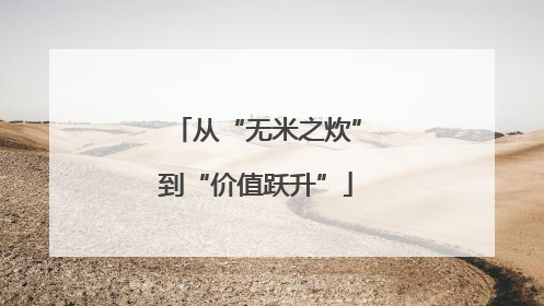 从“无米之炊”到“价值跃升”