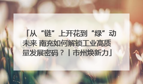从“链”上开花到“绿”动未来 南充如何解锁工业高质量发展密码？丨市州焕新力