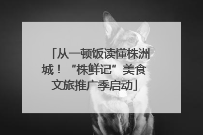 从一顿饭读懂株洲城！“株鲜记”美食文旅推广季启动