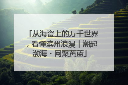 从海瓷上的万千世界，看懂滨州浪漫｜潮起渤海・网聚黄蓝