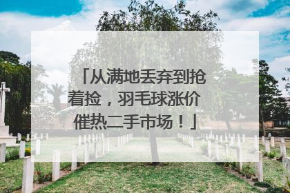 从满地丢弃到抢着捡，羽毛球涨价催热二手市场！