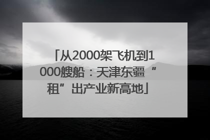 从2000架飞机到1000艘船：天津东疆“租”出产业新高地