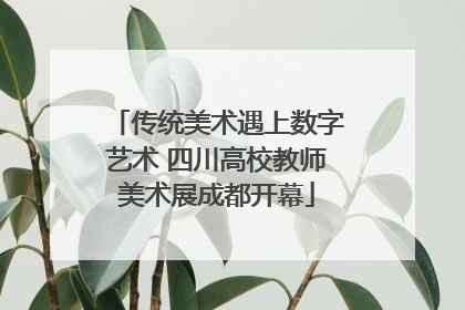 传统美术遇上数字艺术 四川高校教师美术展成都开幕