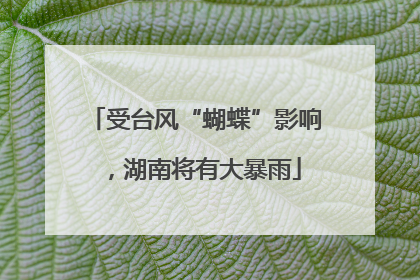 受台风“蝴蝶”影响，湖南将有大暴雨