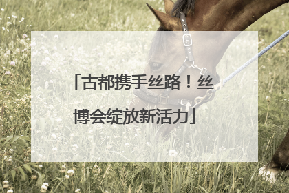 古都携手丝路！丝博会绽放新活力
