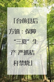 台前县后方镇：保障“三夏”生产 严抓秸秆禁烧