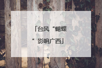 台风“蝴蝶”影响广西