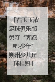 右玉玉浓足球俱乐部勇夺“奔跑吧·少年”朔州少儿足球桂冠