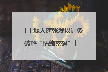 十堰人医张发以针灸破解“情绪密码”