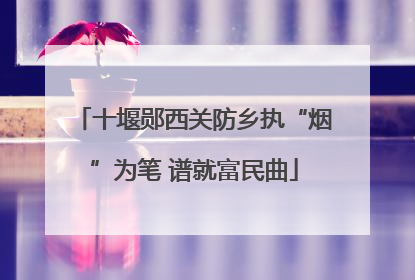 十堰郧西关防乡执“烟”为笔 谱就富民曲