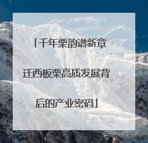千年栗韵谱新章 迁西板栗高质发展背后的产业密码