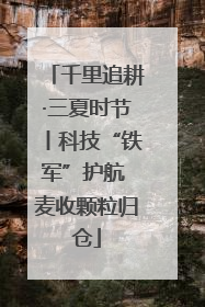 千里追耕·三夏时节丨科技“铁军”护航 麦收颗粒归仓