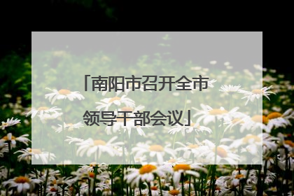 南阳市召开全市领导干部会议