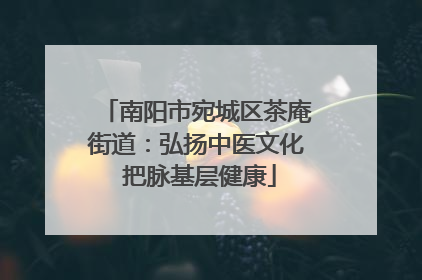 南阳市宛城区茶庵街道：弘扬中医文化 把脉基层健康