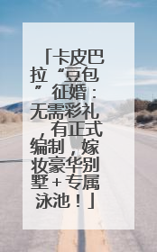 卡皮巴拉“豆包”征婚：无需彩礼，有正式编制，嫁妆豪华别墅＋专属泳池！