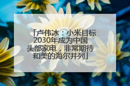 卢伟冰：小米目标2030年成为中国头部家电，非常期待和美的海尔并列