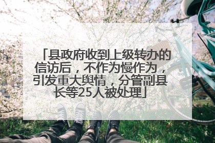 县政府收到上级转办的信访后，不作为慢作为，引发重大舆情，分管副县长等25人被处理