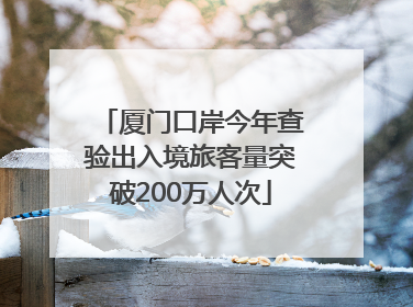 厦门口岸今年查验出入境旅客量突破200万人次