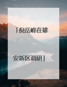 倪岳峰在雄安新区调研
