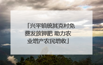 兴平镇统其克村免费发放钾肥 助力农业增产农民增收