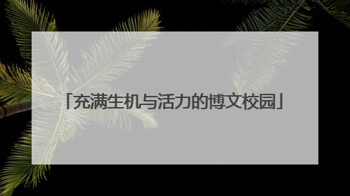 充满生机与活力的博文校园