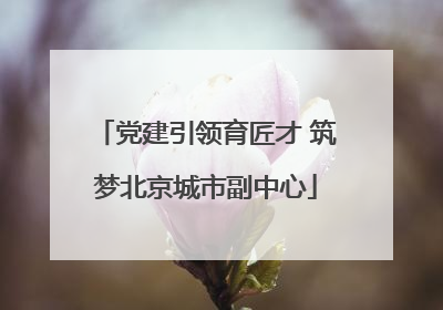党建引领育匠才 筑梦北京城市副中心